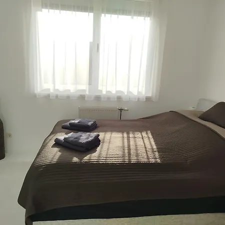 Apartment Csongor *