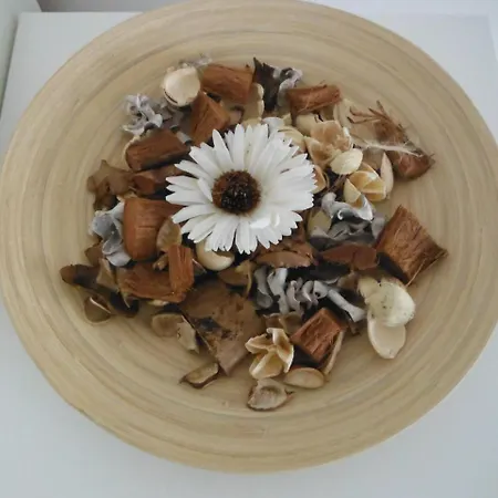 Csongor * ブダペスト